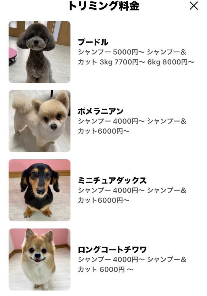 カットコース