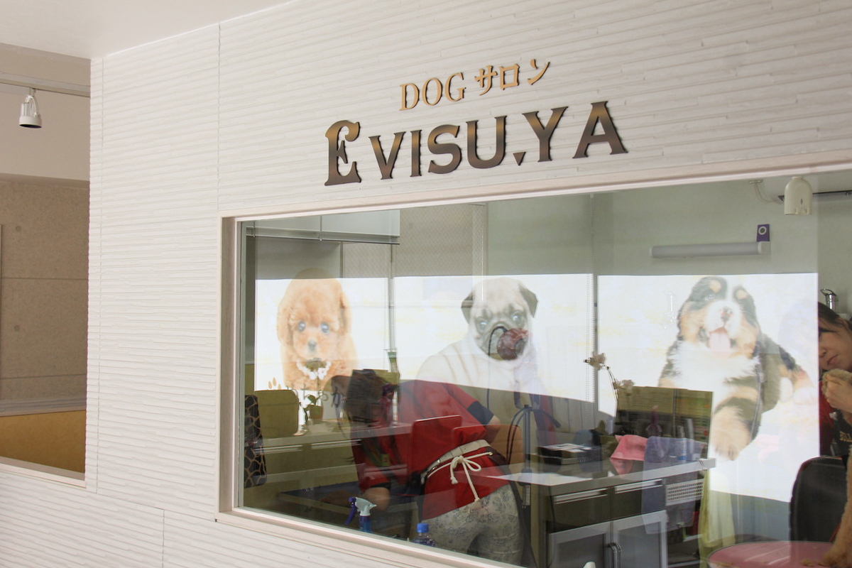 東京都世田谷区のトリミングサロン DOGサロン EVISU'YAの1枚目