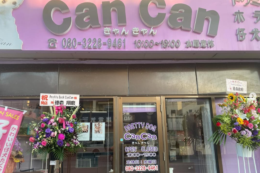 Prettydog CanCan 1