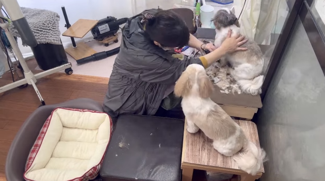 わんこ達と協力したケア