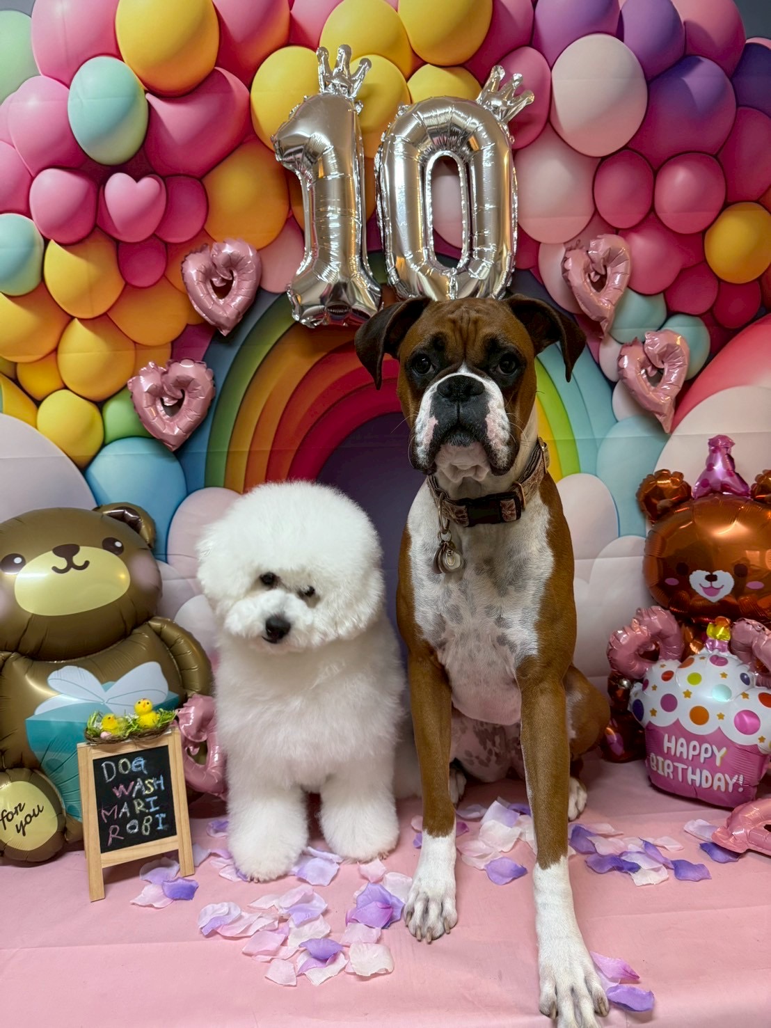 トリミングサロン Dog Wash Mari*Robi（R7/5/25より新規様受付再開）の口コミ-618の1枚目