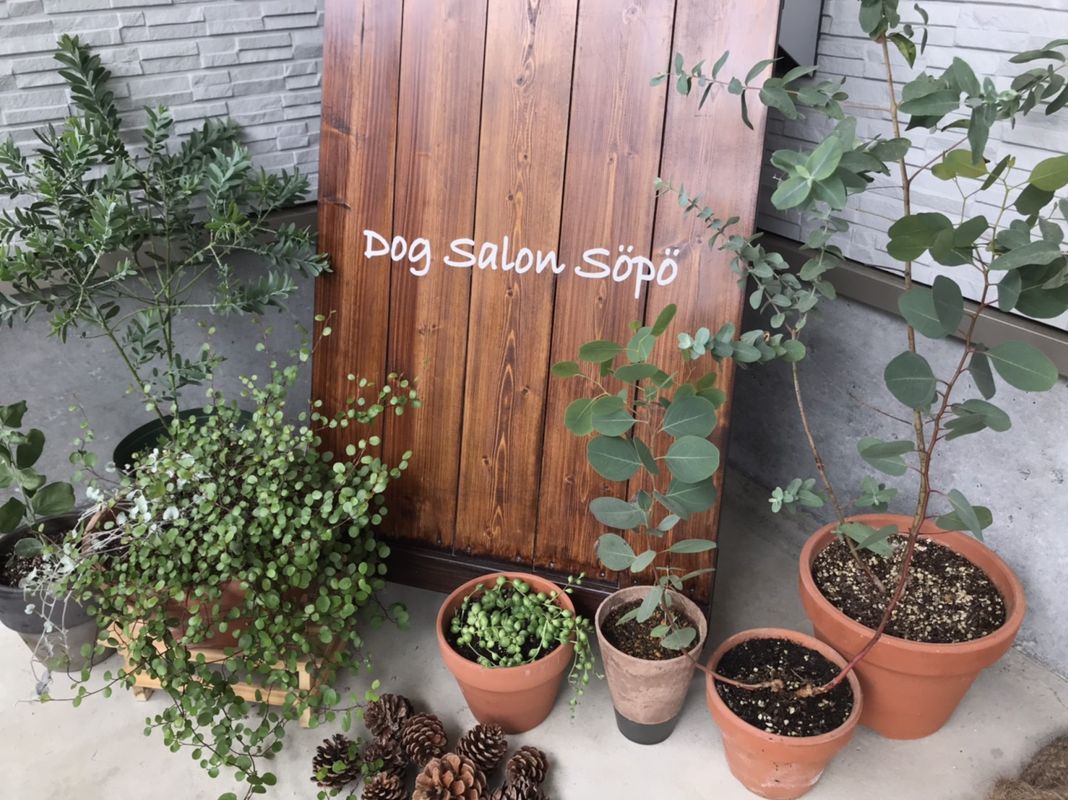 静岡県御殿場市のトリミングサロン Dog Salon Sopoの1枚目