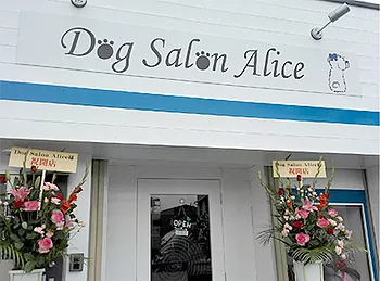 大阪府堺市堺区のトリミングサロン Dog Salon Aliceの2枚目