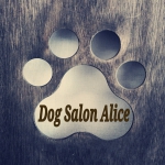 Dog Salon Alice のサムネイル