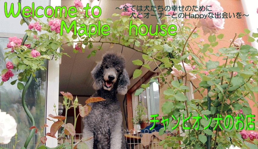 メイプルハウス のサムネイル