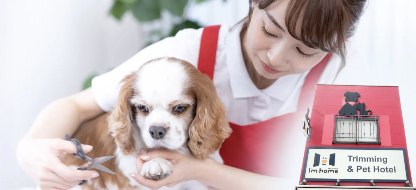 Pet salon I'm home 1