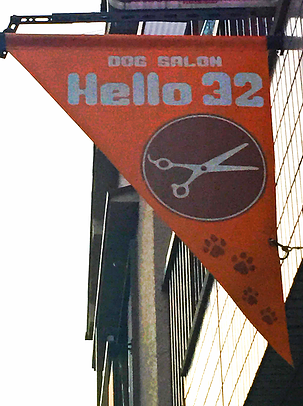 大阪府大東市のトリミングサロン DOG SALON    Hello  32の3枚目