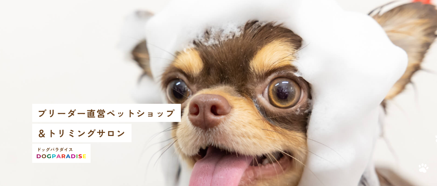 ドッグパラダイス のサムネイル