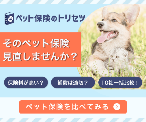 ペット保険のトリセツ