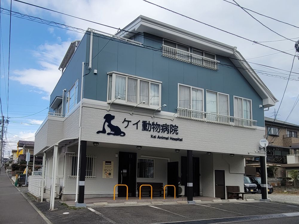 ケイ動物病院