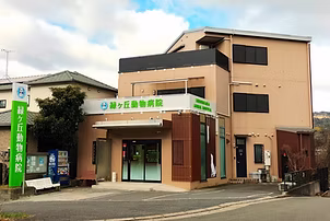 緑ヶ丘動物病院