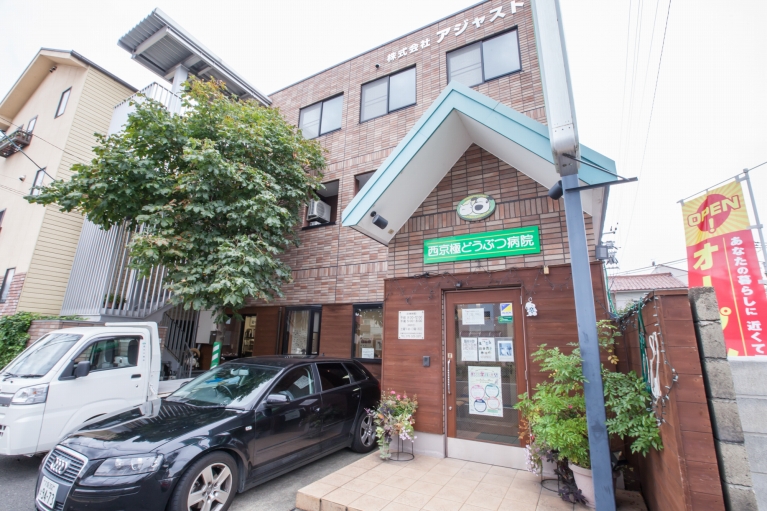 西京極どうぶつ病院