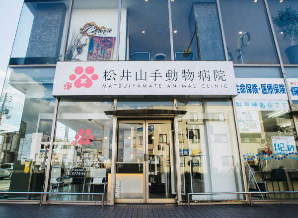 松井山手動物病院