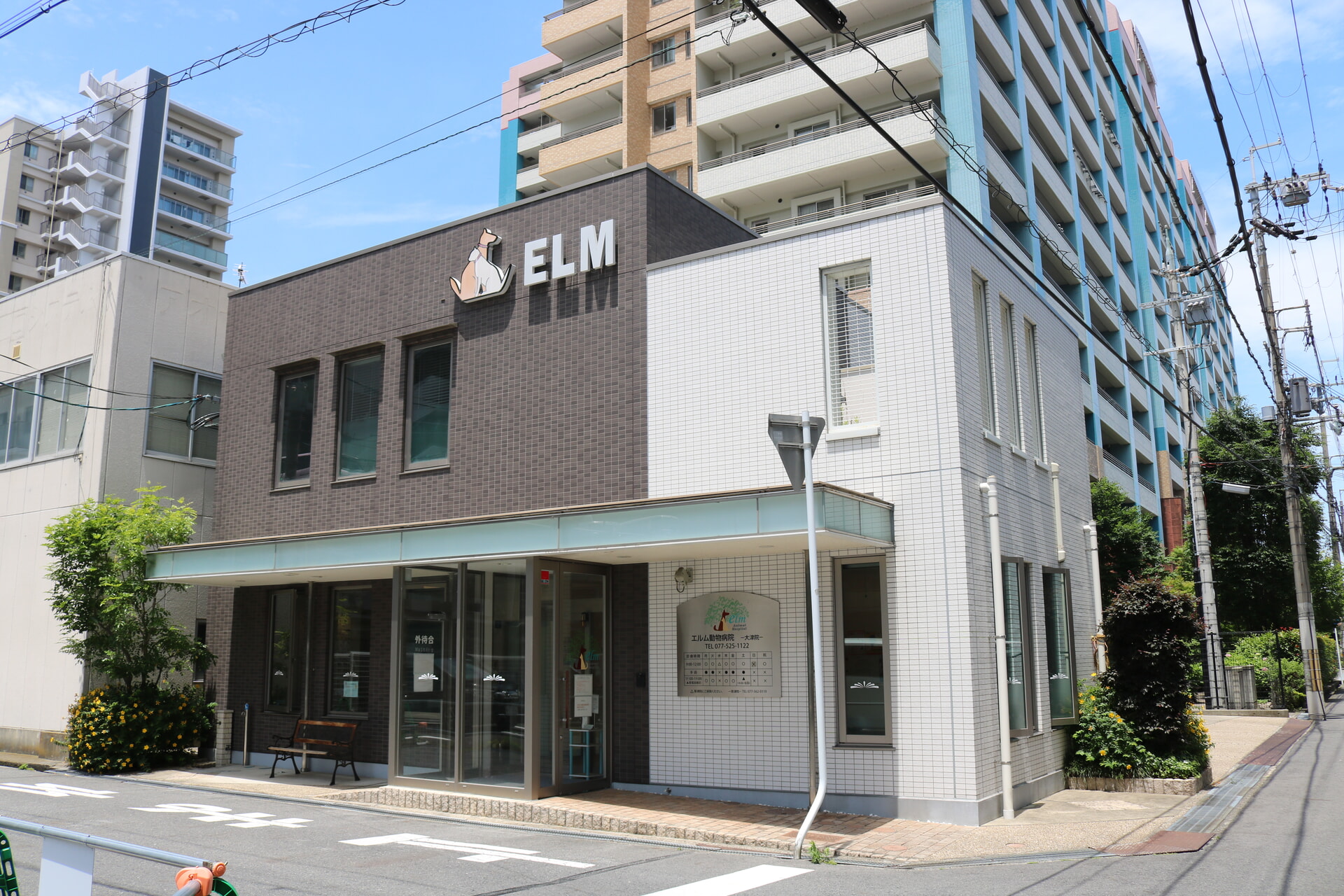 エルム動物病院