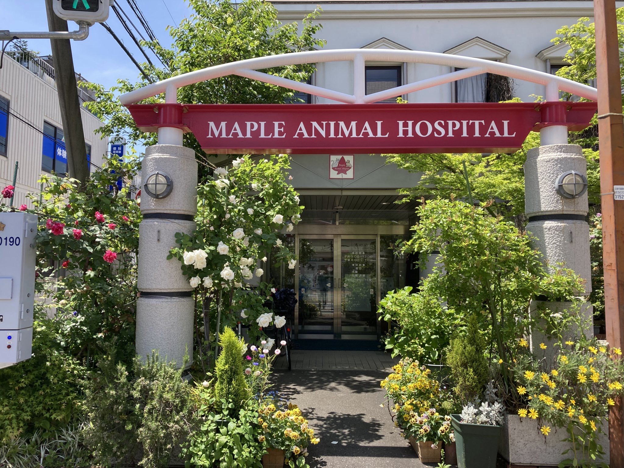 メイプル動物病院