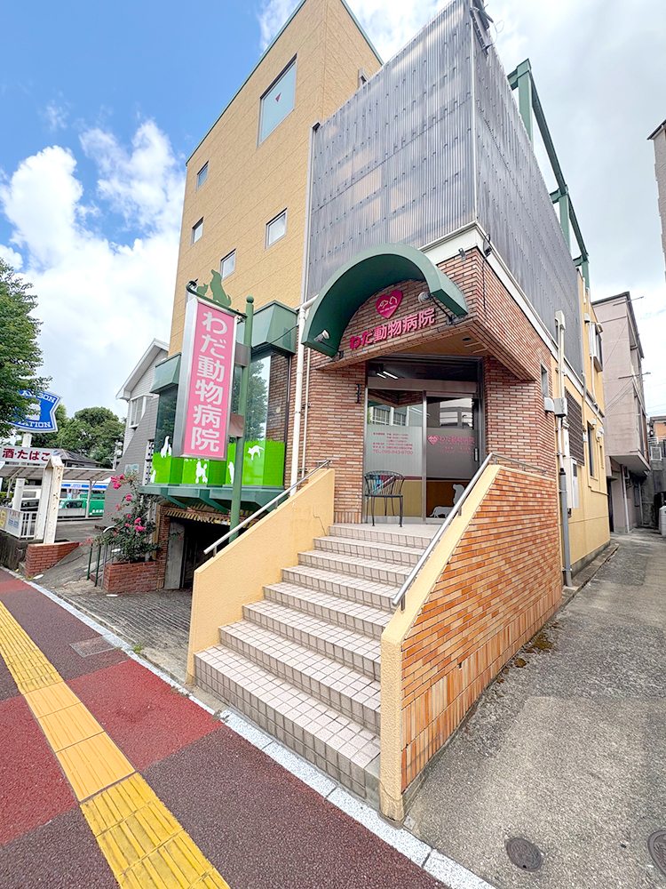 わだ動物病院