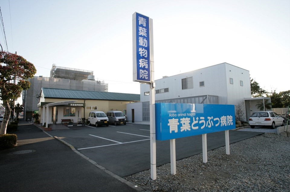 青葉動物病院