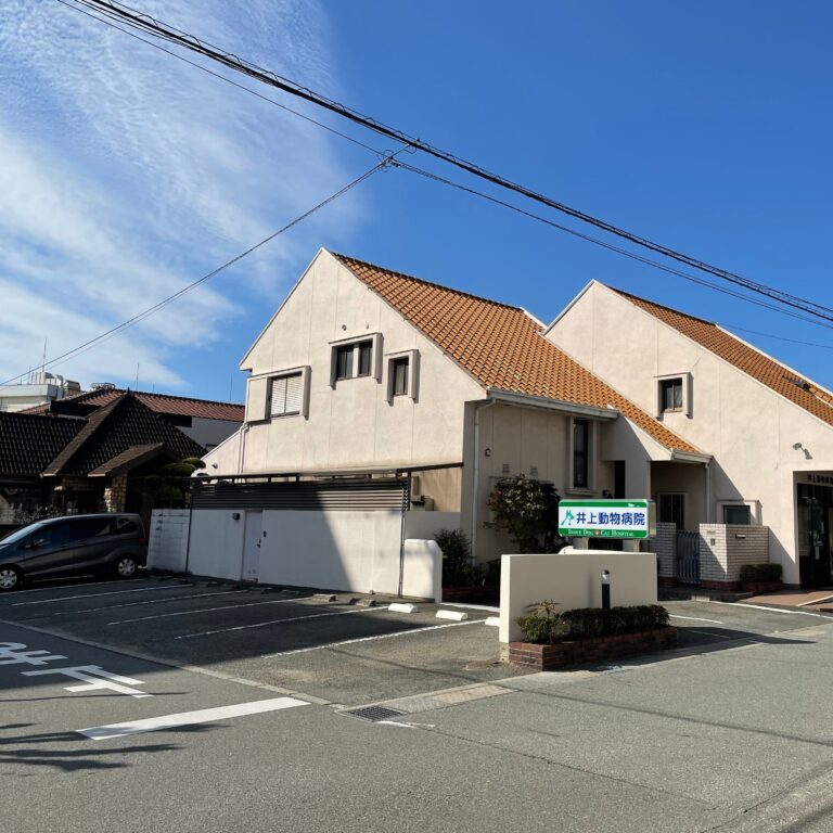 井上動物病院