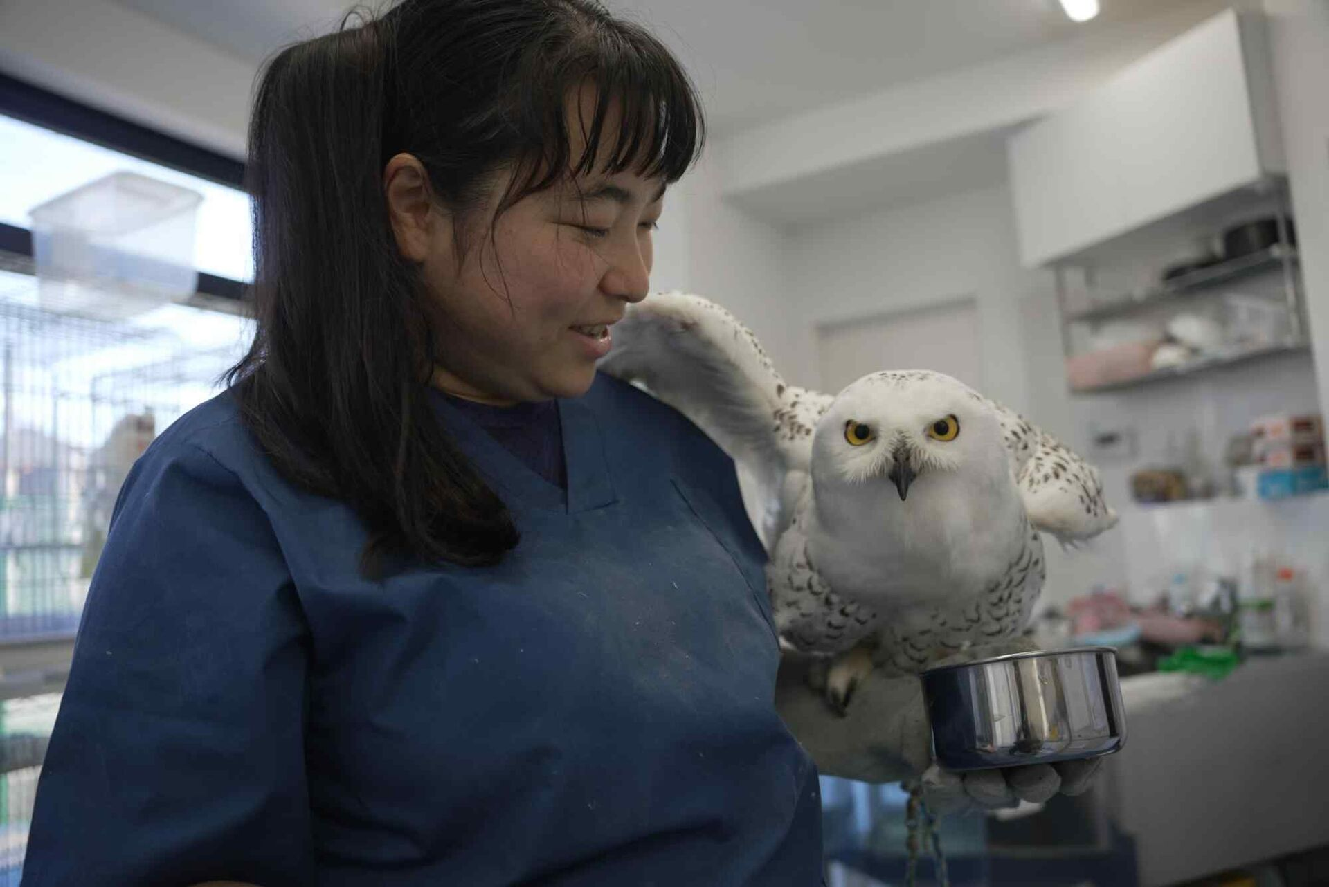 眞家 ひとみ 院長