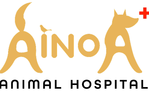 アイノア動物病院