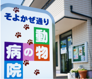 そよかぜ通り動物の病院