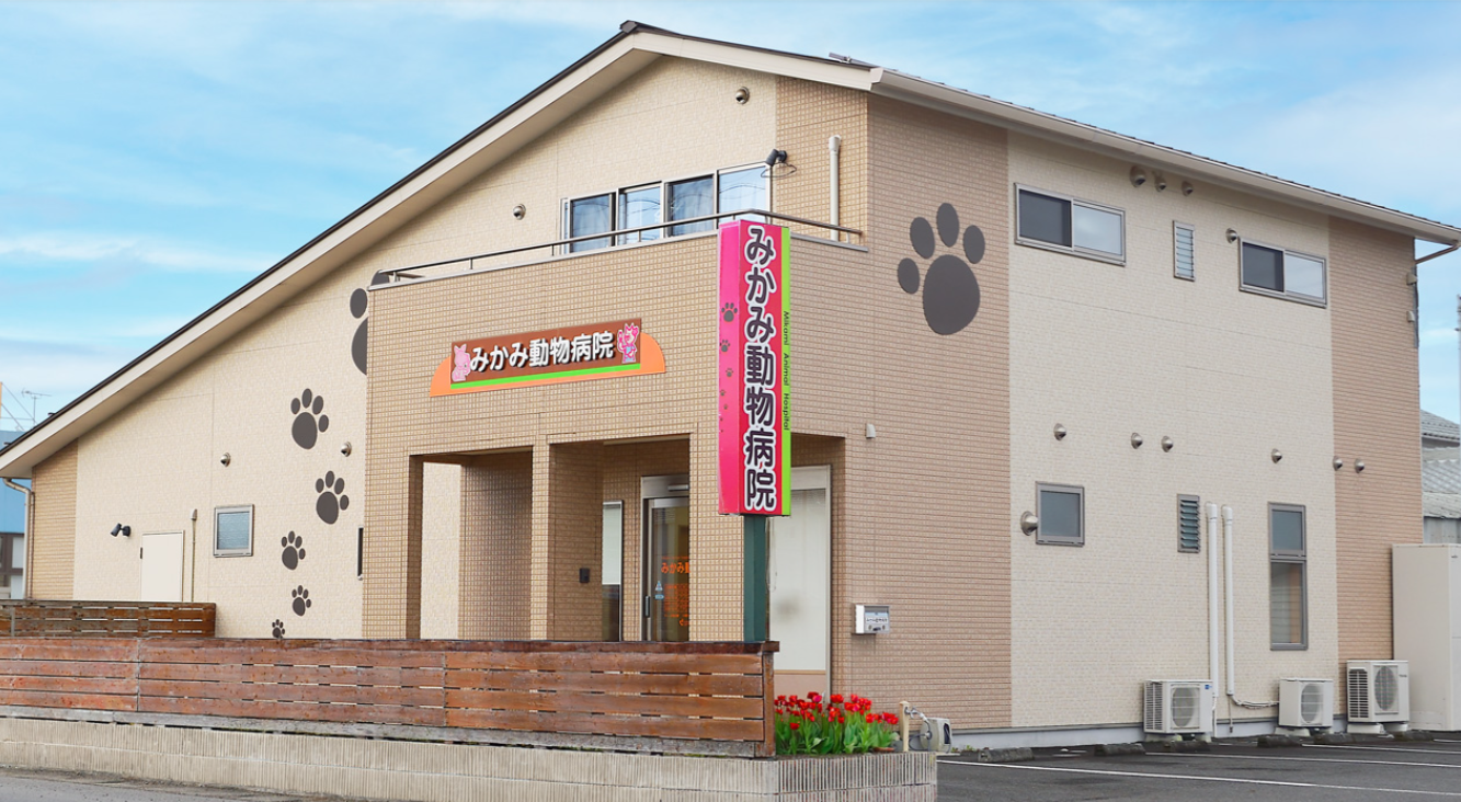 みかみ動物病院