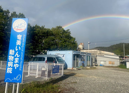 奄美いんまや動物病院