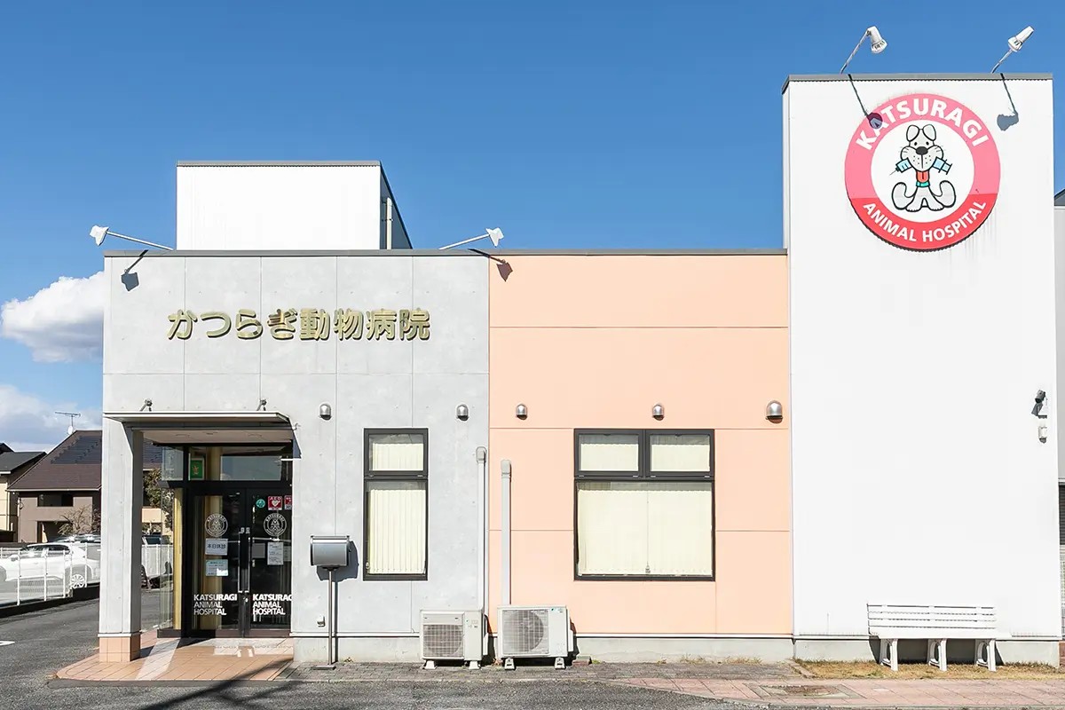 かつらぎ動物病院
