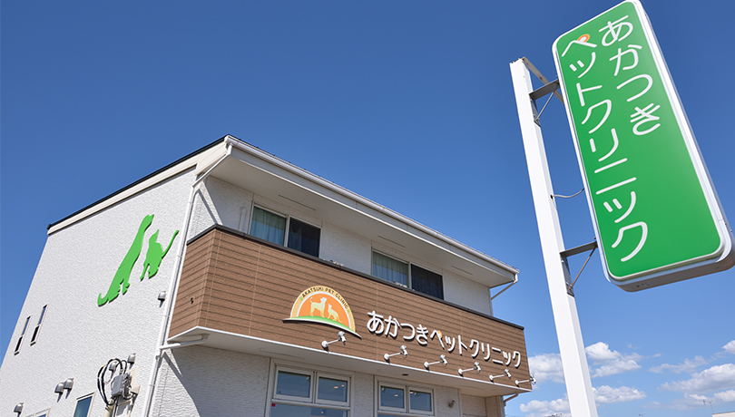 あかつきペットクリニック