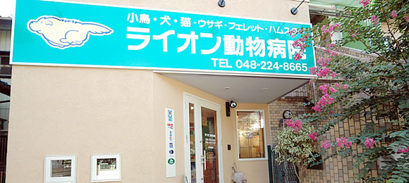 ライオン動物病院