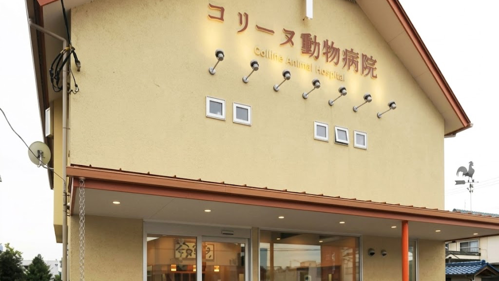 コリーヌ動物病院