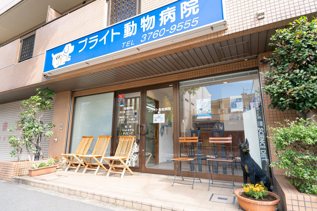 ブライト動物病院