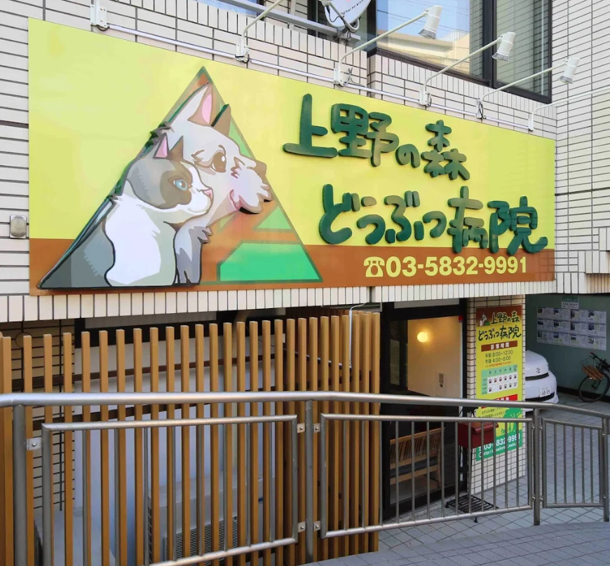 上野の森どうぶつ病院