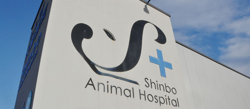 しんぼ犬猫病院