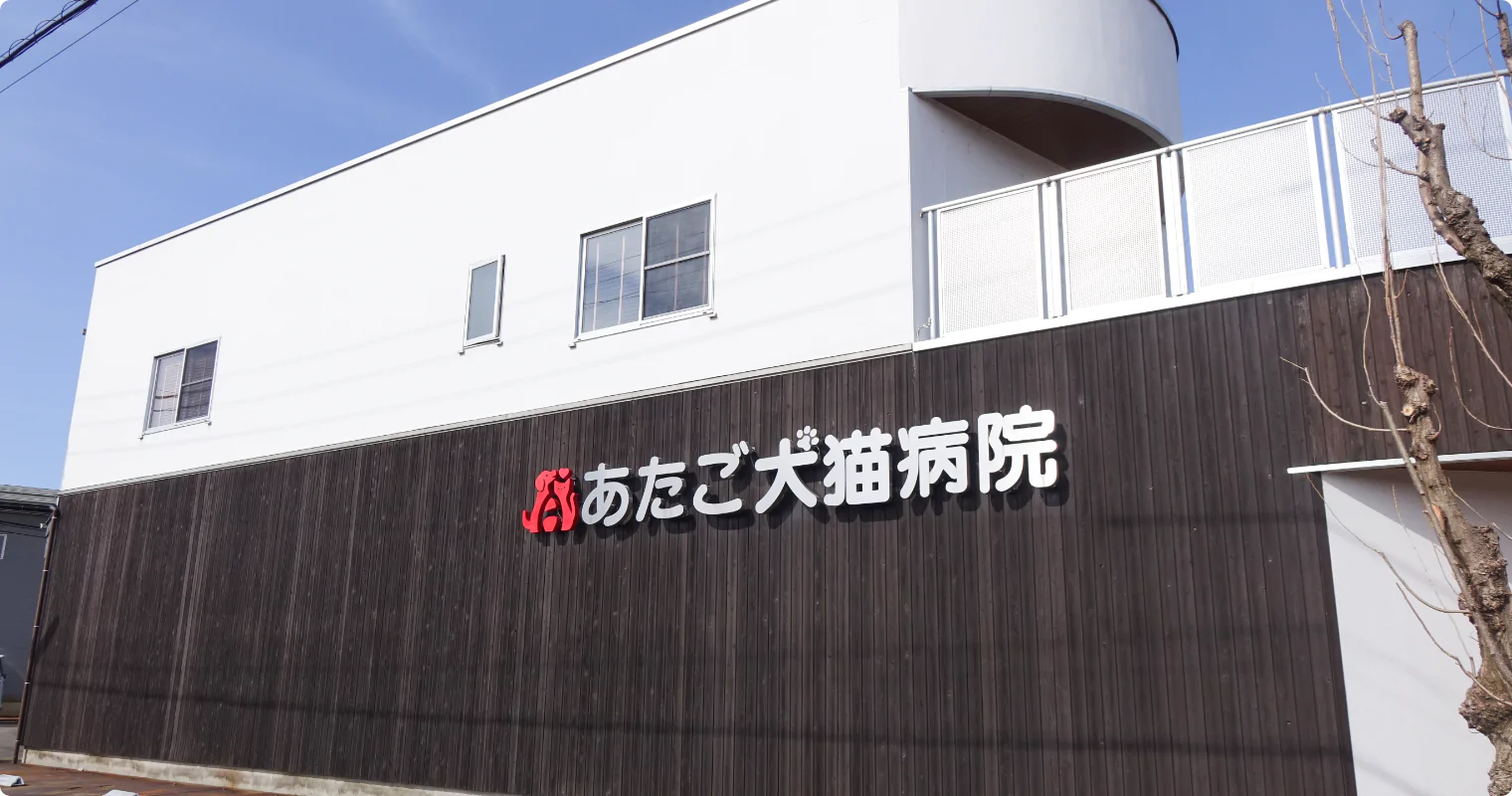 あたご動物病院
