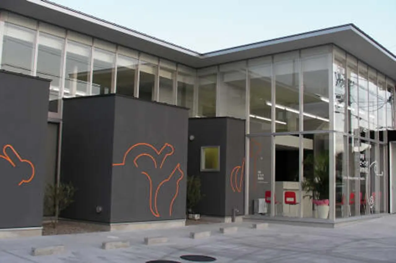 神領ビーイング動物病院