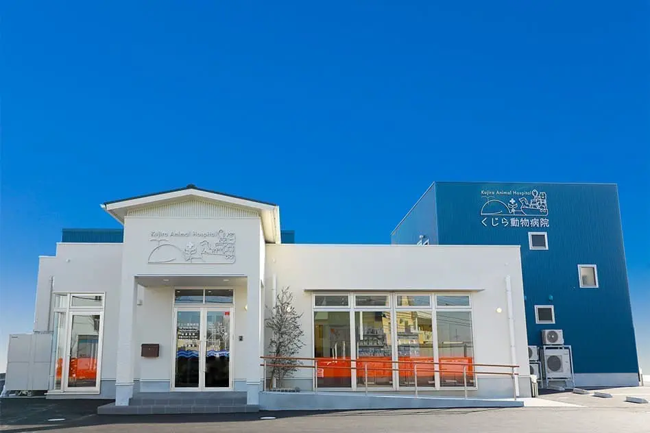 くじら動物病院
