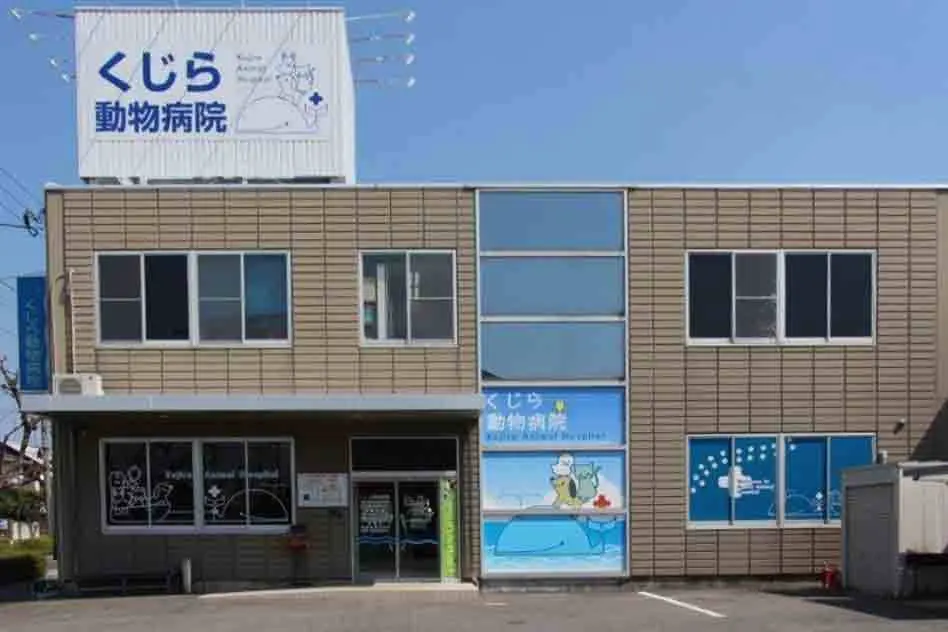 くじら動物病院