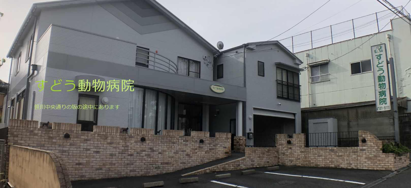 すどう動物病院