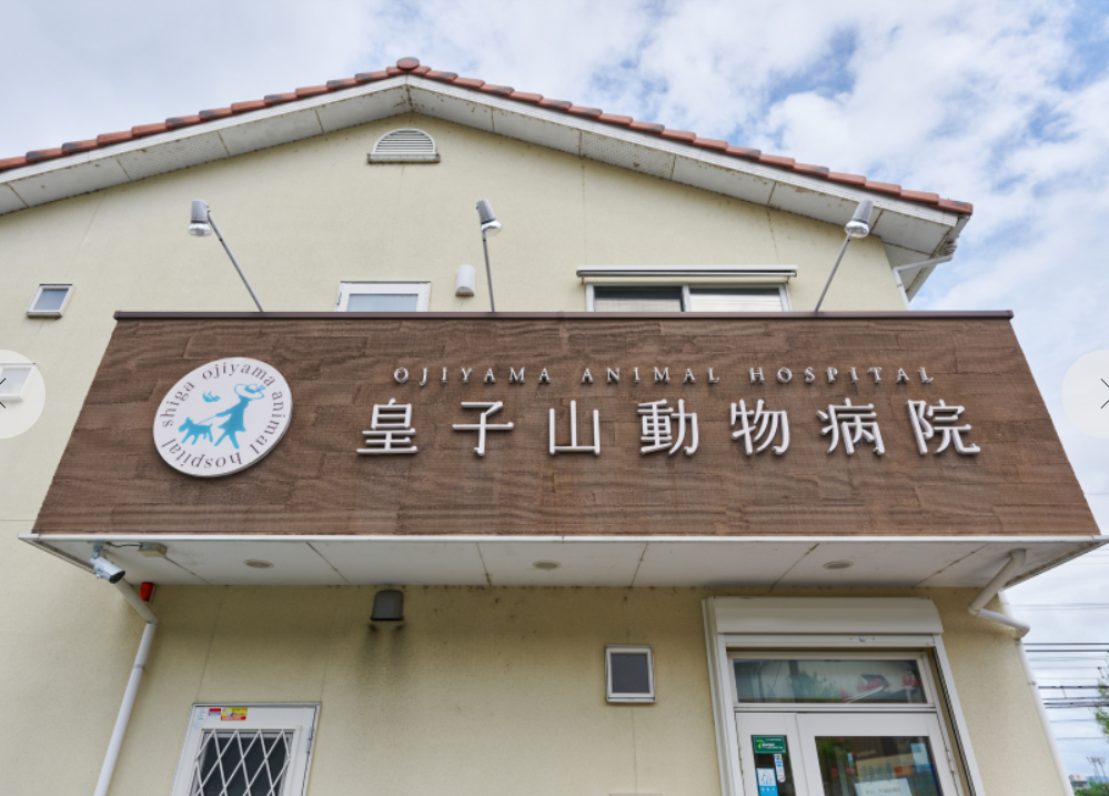 皇子山動物病院