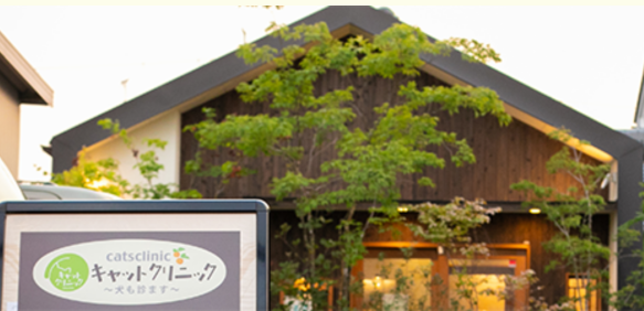 キャットクリニック