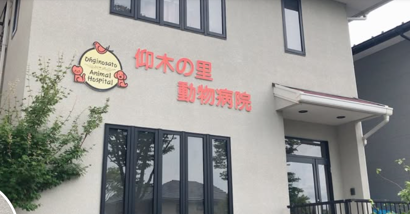 仰木の里動物病院