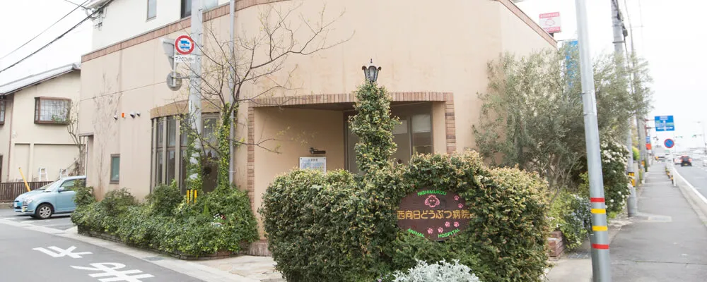 西向日どうぶつ病院