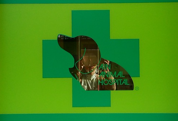 アイン動物病院