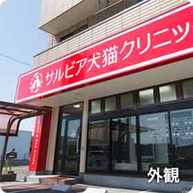サルビア犬猫クリニック