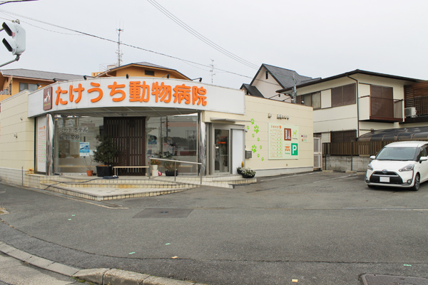 たけうち動物病院