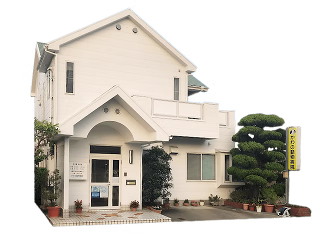 かわの動物病院