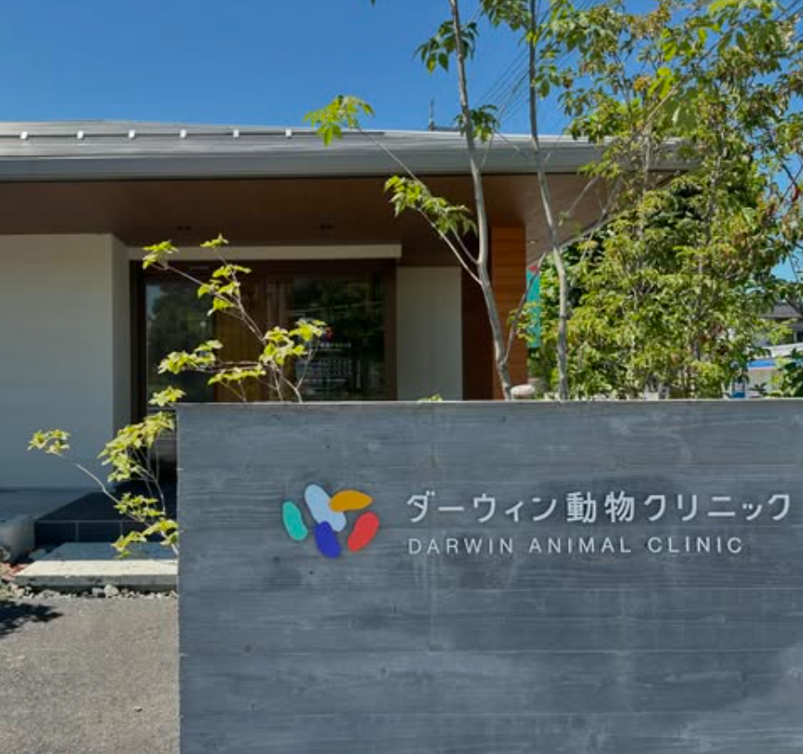 ダーウィン動物クリニック