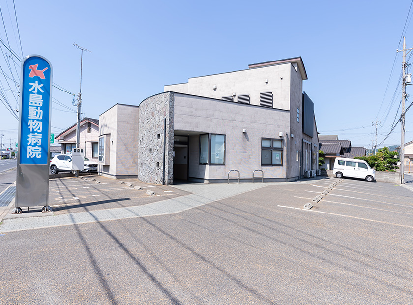 水島動物病院