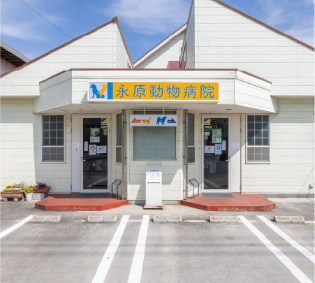 永原動物病院